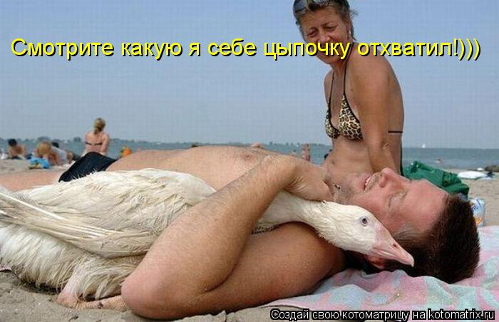 Смотрите какую я себе цыпочку отхватил!)))... Котоматрица: Смотрите какую я себе цыпочку отхватил!)))