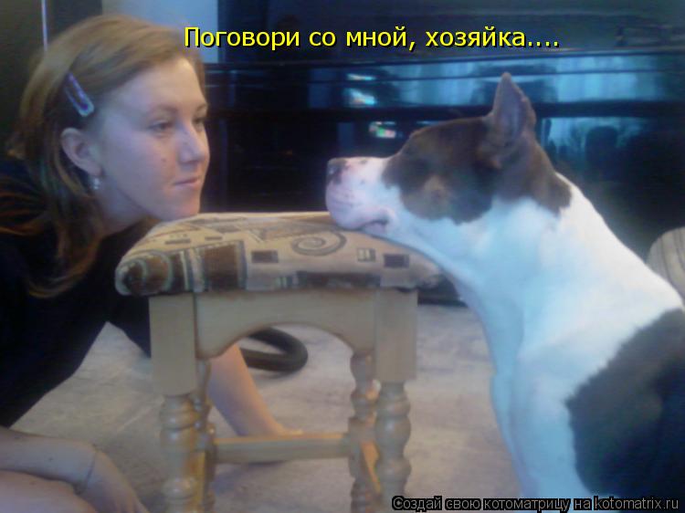 Поговори со мной, хозяйка....... Котоматрица: Поговори со мной, хозяйка....