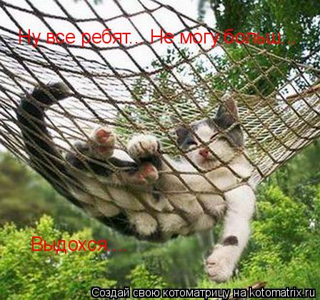 Ну все ребят... Не могу больш... Выдохся....... Котоматрица: Ну все ребят... Не могу больш... Выдохся....