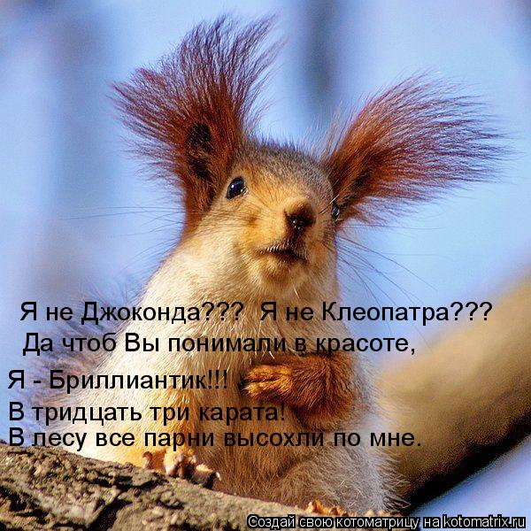 Я не Джоконда??? Я не Клеопатра??? Да чтоб Вы понимали в красоте, Я - Бриллиантик!!! В тридцать три... Котоматрица: Я не Джоконда??? Я не Клеопатра??? Да чтоб Вы понимали в красоте, Я - Бриллиантик!!! В тридцать три карата! В лесу все парни высохли по мне.