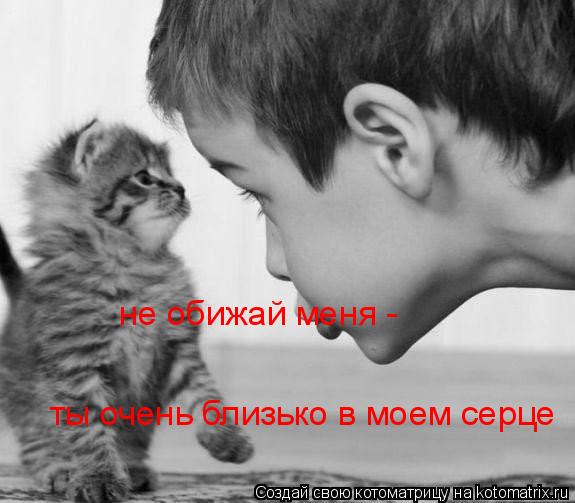 не обижай меня - ты очень близько в моем серце... Котоматрица: не обижай меня - ты очень близько в моем серце