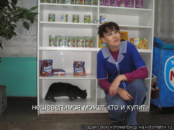 нешевелимся может кто и купит... Котоматрица: нешевелимся может кто и купит