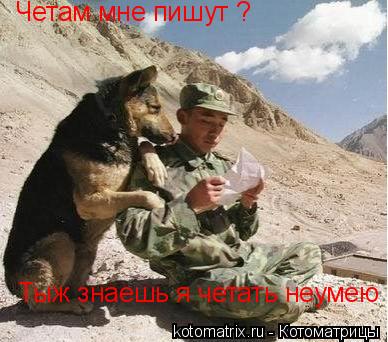 Четам мне пишут ? Тыж знаешь я четать неумею... Котоматрица: Четам мне пишут ? Тыж знаешь я четать неумею