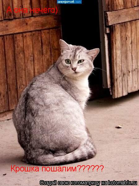 А она нечего) Крошка пошалим??????... Котоматрица: А она нечего) Крошка пошалим??????