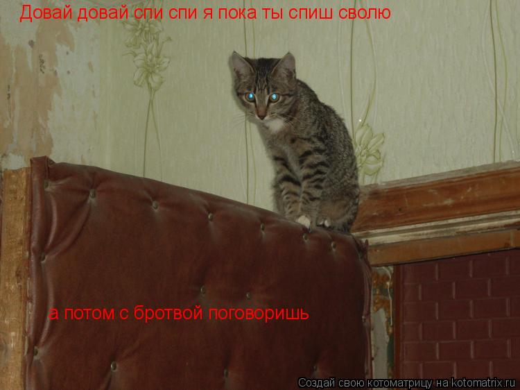 Довай довай спи спи я пока ты спиш сволю а потом с бротвой поговоришь... Котоматрица: Довай довай спи спи я пока ты спиш сволю а потом с бротвой поговоришь