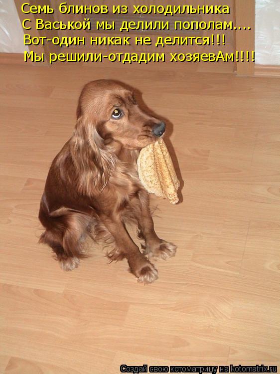 Семь блинов из холодильника С Васькой мы делили пополам.... Вот-один никак не делится!!! Мы решили-о... Котоматрица: Семь блинов из холодильника С Васькой мы делили пополам.... Вот-один никак не делится!!! Мы решили-отдадим хозяевАм!!!!