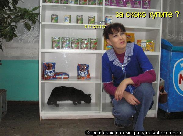 за скоко купите ? а то дастал... Котоматрица: за скоко купите ? а то дастал