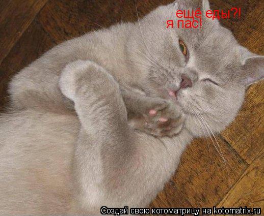 ещё еды?! я пас!... Котоматрица: ещё еды?! я пас!