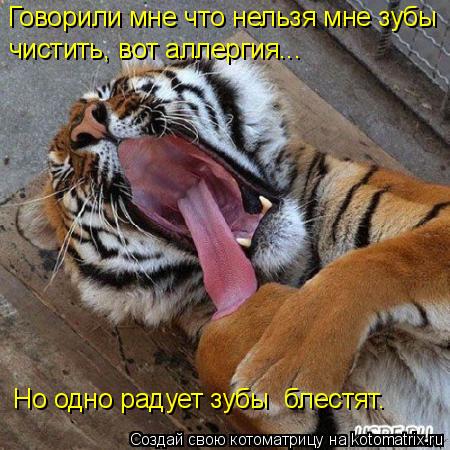 Говорили мне что нельзя мне зубы чистить, вот аллергия... Но одно радует зубы блестят.... Котоматрица: Говорили мне что нельзя мне зубы чистить, вот аллергия... Но одно радует зубы блестят.
