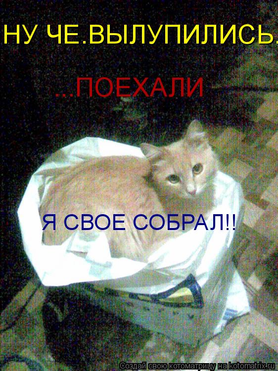 НУ ЧЕ.ВЫЛУПИЛИСЬ....ПОЕХАЛИ УЖЕ!!! НУ ЧЕ.ВЫЛУПИЛИСЬ....ПОЕХАЛИ УЖЕ!!! НУ ЧЕ.ВЫЛУПИЛИСЬ.... ...ПОЕХАЛИ... Котоматрица: НУ ЧЕ.ВЫЛУПИЛИСЬ....ПОЕХАЛИ УЖЕ!!! НУ ЧЕ.ВЫЛУПИЛИСЬ....ПОЕХАЛИ УЖЕ!!! НУ ЧЕ.ВЫЛУПИЛИСЬ.... ...ПОЕХАЛИ Я СВОЕ СОБРАЛ!!