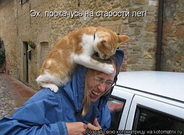 Эх, прокачусь на старости лет!... Котоматрица: Эх, прокачусь на старости лет!