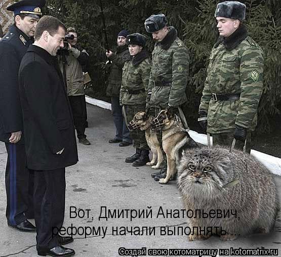 Вот, Дмитрий Анатольевич, реформу начали выполнять ...... Котоматрица: Вот, Дмитрий Анатольевич, реформу начали выполнять ...