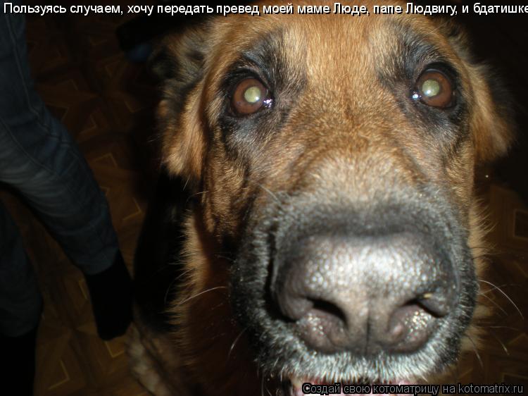 Пользуясь случаем, хочу передать превед моей маме Люде, папе Людвигу, и бдатишке! =)... Котоматрица: Пользуясь случаем, хочу передать превед моей маме Люде, папе Людвигу, и бдатишке! =)