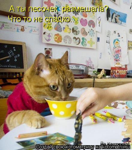 А ты песочек размешала? Что то не сладко...... Котоматрица: А ты песочек размешала? Что то не сладко...