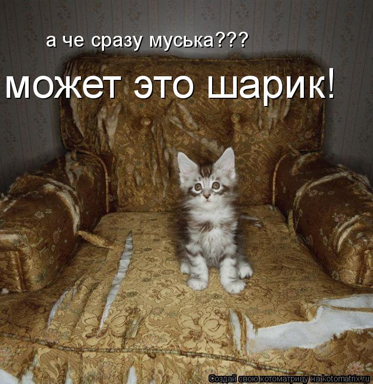 а че сразу муська??? может это шарик!... Котоматрица: а че сразу муська??? может это шарик!