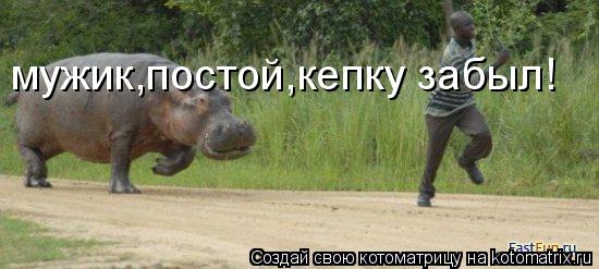 мужик,постой,кепку забыл!... Котоматрица: мужик,постой,кепку забыл!