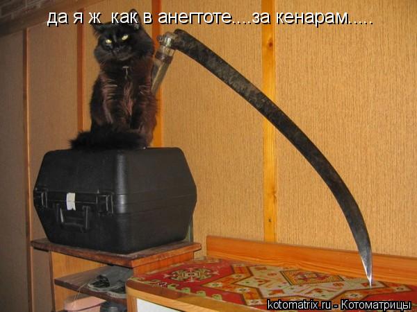 да я ж как в анегтоте....за кенарам........ Котоматрица: да я ж как в анегтоте....за кенарам.....