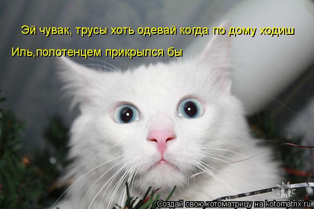 Эй чувак, трусы хоть одевай когда по дому ходиш Иль,полотенцем прикрылся бы... Котоматрица: Эй чувак, трусы хоть одевай когда по дому ходиш Иль,полотенцем прикрылся бы