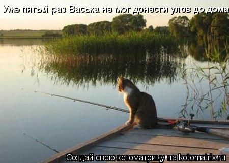 Уже пятый раз Васька не мог донести улов до дома.... Котоматрица: Уже пятый раз Васька не мог донести улов до дома.
