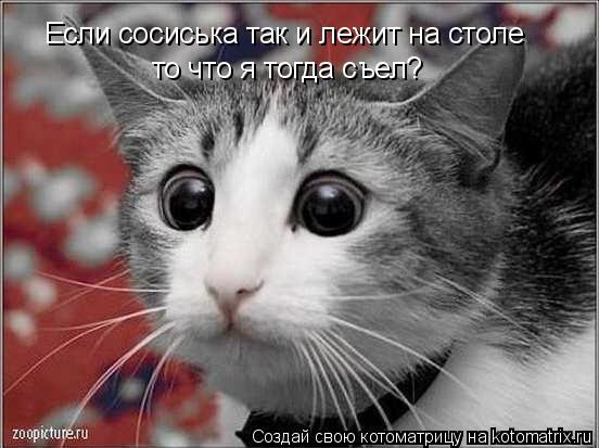 Если сосиська так и лежит на столе то что я тогда съел?... Котоматрица: Если сосиська так и лежит на столе то что я тогда съел?