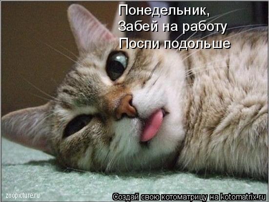 Понедельник, Забей на работу Поспи подольше... Котоматрица: Понедельник, Забей на работу Поспи подольше