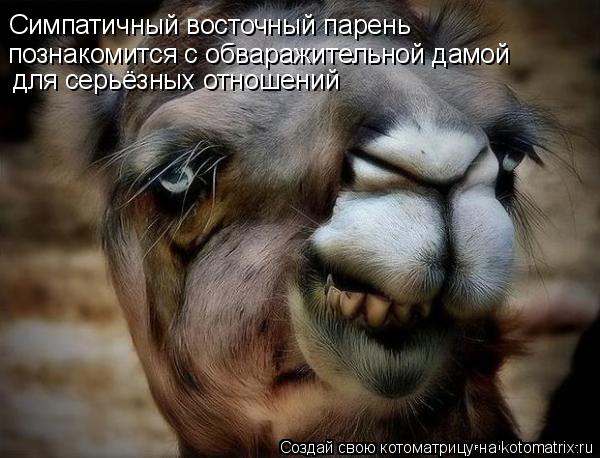 Симпатичный восточный парень познакомится с обваражительной дамой для серьёзных отношений... Котоматрица: Симпатичный восточный парень познакомится с обваражительной дамой для серьёзных отношений