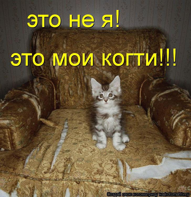 это не я! это мои когти!!!... Котоматрица: это не я! это мои когти!!!