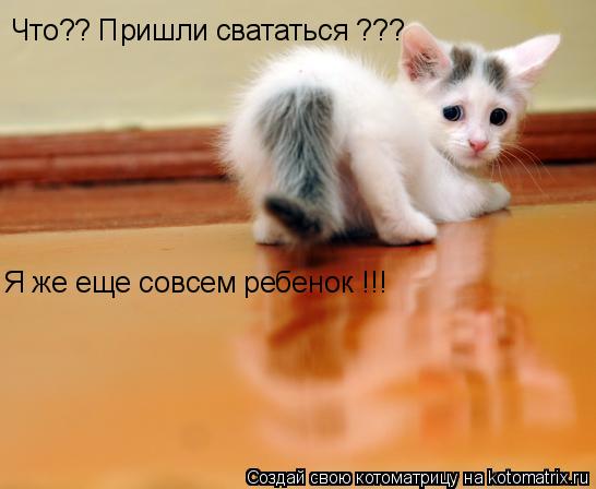Что?? Пришли свататься ??? Я же еще совсем ребенок !!!... Котоматрица: Что?? Пришли свататься ??? Я же еще совсем ребенок !!!