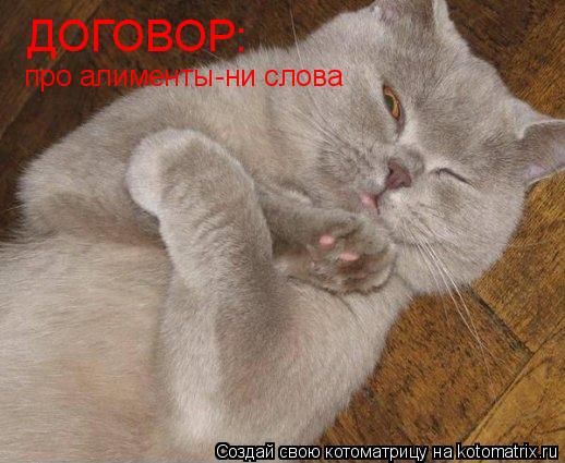 ДОГОВОР: про алименты-ни слова... Котоматрица: ДОГОВОР: про алименты-ни слова