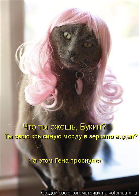 Что ты ржешь, Букин? Ты свою крысиную морду в зеркало видел? На этом Гена проснулся...... Котоматрица: Что ты ржешь, Букин? Ты свою крысиную морду в зеркало видел? На этом Гена проснулся...