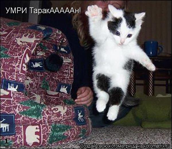 УМРИ ТаракАААААн!... Котоматрица: УМРИ ТаракАААААн!