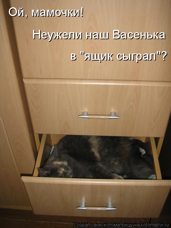 Ой, мамочки! Неужели наш Васенька в "ящик сыграл"?... Котоматрица: Ой, мамочки! Неужели наш Васенька в "ящик сыграл"?