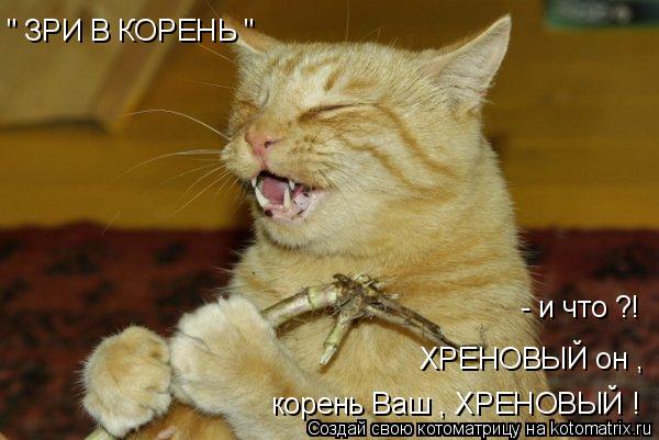 " ЗРИ В КОРЕНЬ " - и что ?! ХРЕНОВЫЙ он , корень Ваш , ХРЕНОВЫЙ !... Котоматрица: " ЗРИ В КОРЕНЬ " - и что ?! ХРЕНОВЫЙ он , корень Ваш , ХРЕНОВЫЙ !