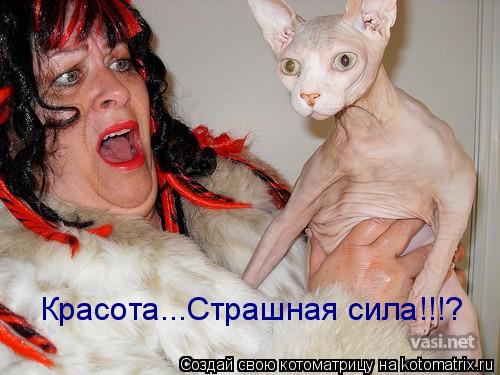 Красота...Страшная сила!!!?... Котоматрица: Красота...Страшная сила!!!?