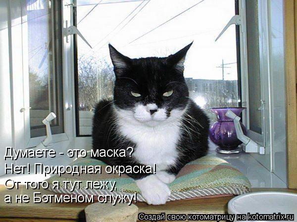 Думаете - это маска? Нет! Природная окраска! От того я тут лежу, а не Бэтменом служу!... Котоматрица: Думаете - это маска? Нет! Природная окраска! От того я тут лежу, а не Бэтменом служу!