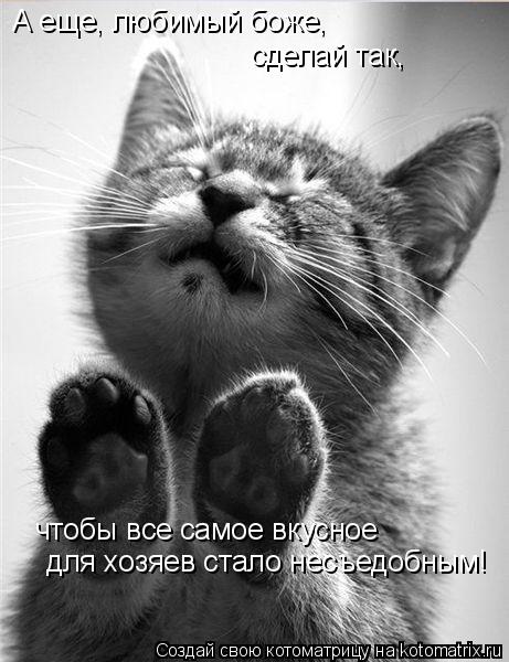 А еще, любимый боже, сделай так, чтобы все самое вкусное для хозяев стало несъедобным!... Котоматрица: А еще, любимый боже, сделай так, чтобы все самое вкусное для хозяев стало несъедобным!