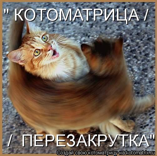 / ПЕРЕЗАКРУТКА" " КОТОМАТРИЦА /... Котоматрица: / ПЕРЕЗАКРУТКА" " КОТОМАТРИЦА /