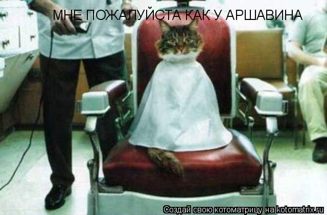 МНЕ ПОЖАЛУЙСТА КАК У АРШАВИНА... Котоматрица: МНЕ ПОЖАЛУЙСТА КАК У АРШАВИНА