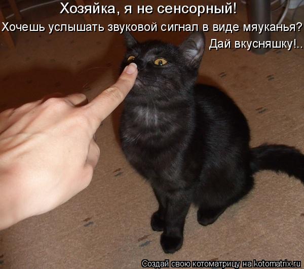 Хозяйка, я не сенсорный! Хочешь услышать звуковой сигнал в виде мяуканья? Дай вкусняшку!...... Котоматрица: Хозяйка, я не сенсорный! Хочешь услышать звуковой сигнал в виде мяуканья? Дай вкусняшку!...
