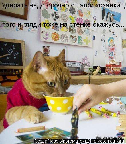 Котоматрица: Удирать надо срочно от этой хозяйки,  того и гляди тоже на стенке окажусь...