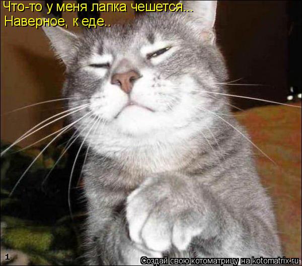 Котоматрица: Что-то у меня лапка чешется... Наверное, к еде..