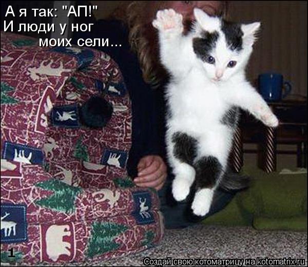 Котоматрица: А я так: "АП!" И люди у ног  моих сели...