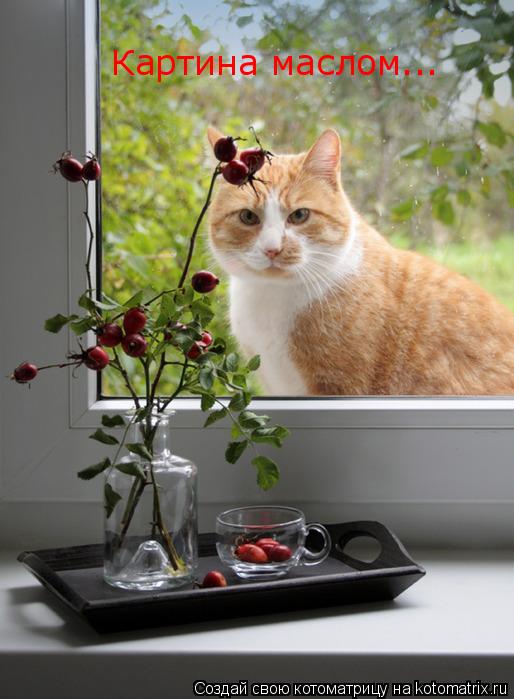 Картина маслом...... Котоматрица: Картина маслом...