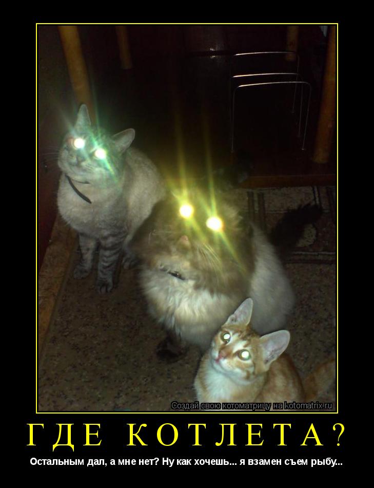 Где котлета? Остальным дал, а мне нет? Ну как хочешь... я взамен съем рыбу...... Котоматрица: Где котлета? Остальным дал, а мне нет? Ну как хочешь... я взамен съем рыбу...