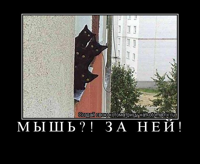 Мышь?! За ней! ... Котоматрица: Мышь?! За ней!