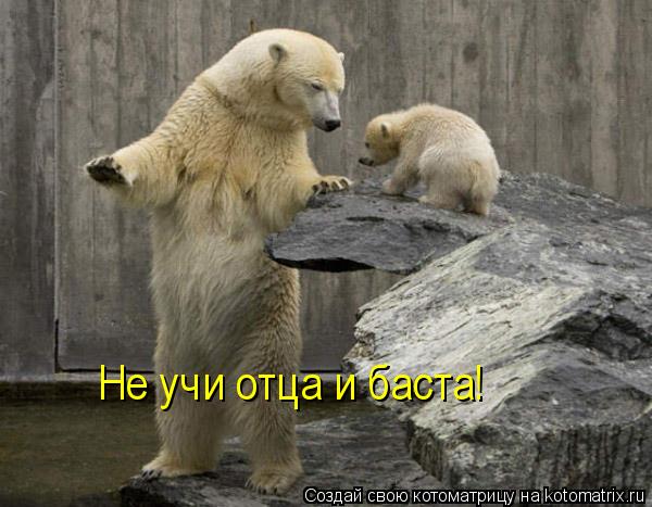 Не учи отца и баста!... Котоматрица: Не учи отца и баста!