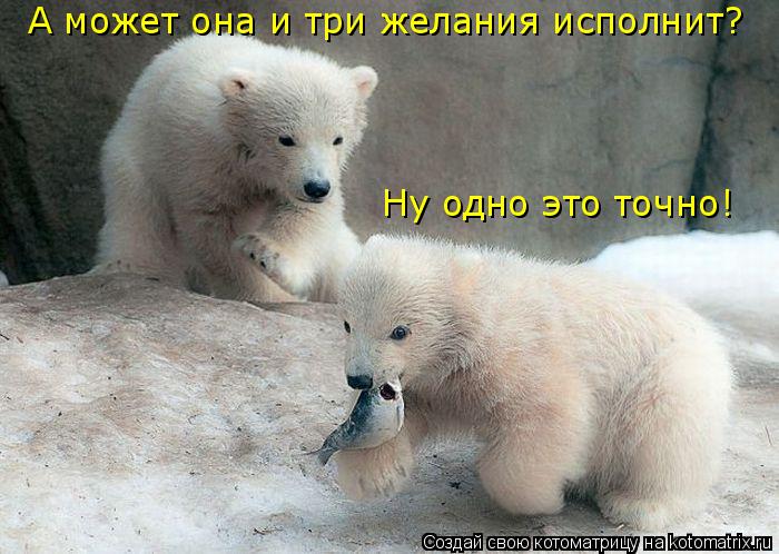 Ну одно это точно! А может она и три желания исполнит?... Котоматрица: Ну одно это точно! А может она и три желания исполнит?