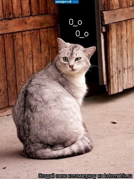 0_o 0_o... Котоматрица: 0_o 0_o