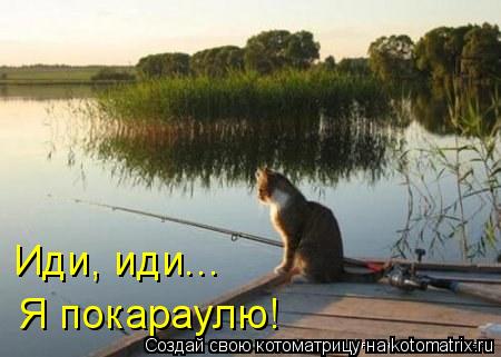 Иди, иди... Я покараулю!... Котоматрица: Иди, иди... Я покараулю!