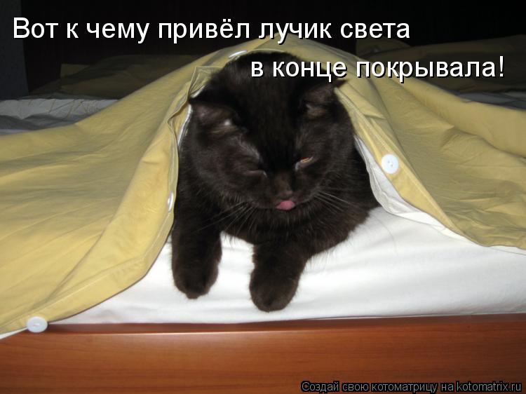 Вот к чему привёл лучик света в конце покрывала!... Котоматрица: Вот к чему привёл лучик света в конце покрывала!